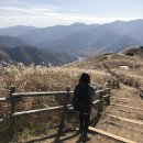 명산사슴농장 | [등산] 가을 억새 3대장 등산 후기, 비교 / 민둥산, 간월재, 명성산