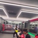 만세 복싱클럽 이미지