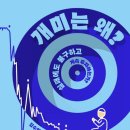 개미헤어