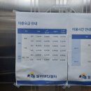 바다랜드 | 아이랑 월미도 여행 <월미바다열차> 탑승 및 <마이랜드> 이용 솔직후기