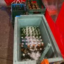 교동호프 | 대구 교동맛집 포장마차 분위기 좋은 술집 추천ㅣ교동호프 후기