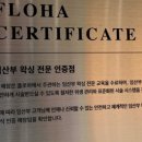 식스윅스전주왁싱속눈썹