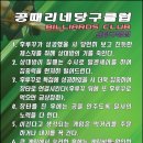 공때리네 당구클럽 네이버블로그