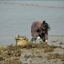 별주부전 이미지