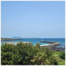 제주도게스트하우스파티바랑쉬성산점 이미지