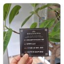 365소통한의원 이미지