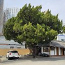 경산중방동우체국 이미지