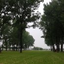 보강천 체육공원 이미지