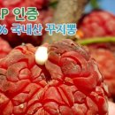 콜마르브레드 - 유성구 어은동 | 콜마르브레드