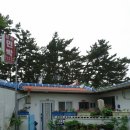 보라민박 이미지