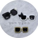 맘마독 이미지