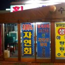 활어회직판장 Daum카페