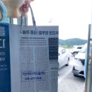코코소담