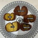 국수나무 원주단구점 | 원주 두바이쫀득쿠키 가격 맛집 비교 2탄 ⭐️저당 두쫀쿠 택배