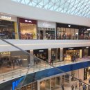 킹덤키즈-J 이미지