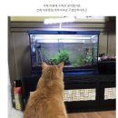 미소짓게해 이미지
