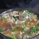 함양토종약초 티스토리