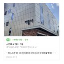 GT | [내돈내산] 미즈노프로 인조잔디화 11gt220150 후기