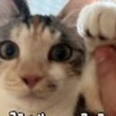 코코멍 이미지