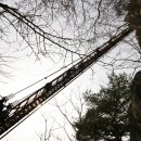 대둔산농장 이미지