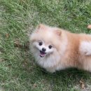 홍경태동물병원 이미지