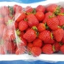 아로니아민박 이미지