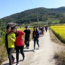 정다운마을 이미지