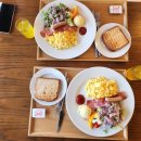울산호텔 | 울산 스타즈호텔 숙박후기 울산시티투어버스 시간표 코스