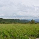 능선목장 이미지