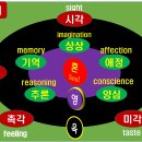 당신은 거듭나야합니다. 2부 이미지