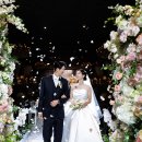 화이트포토그래피 이미지