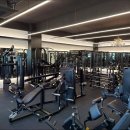 머슬메카 이미지