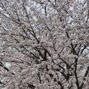 신내기사식당 이미지