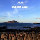 제주도 여행 4일차 (제주접짝뼈국, 미남미녀병과점, 비양도식당, 디디씨치킨)