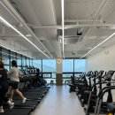 정관장 GYM 이미지