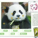 모두다판다 이미지
