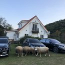 은아목장 이미지