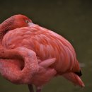 가온경희한의원 이미지