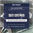 에이스덴트칼라