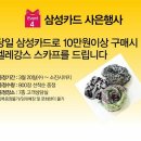 크로커다일레이디대전 이미지