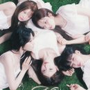 나인 이미지
