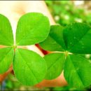 사소하게 이미지