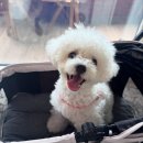 초대박PC | 린모멍의 최근 일상