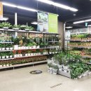 (주)이마트펜타포트점 이미지