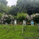 숯불무궁화갈비 이미지