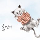 메인캣 이미지