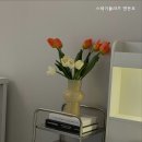 스테이플라츠 이미지