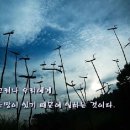 [신천지생명어록] 신천지, 이만희총회장님의 생명어록영상 - 10년 전 말씀... 이미지