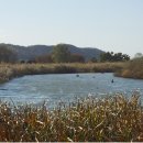 (재)평화공원 이미지