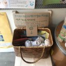 씨유 칠곡코스모스점 | [대구 동인동] 제로웨이스트 샵 더 커먼 재방문 (feat, 샐러드 포장 용기 기네스 등극) 팔라펠 샐러드...